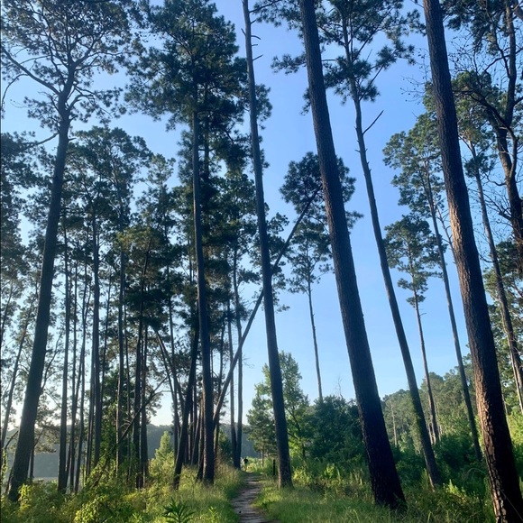 Meet your Posher, Mary - Picture 6 of 11